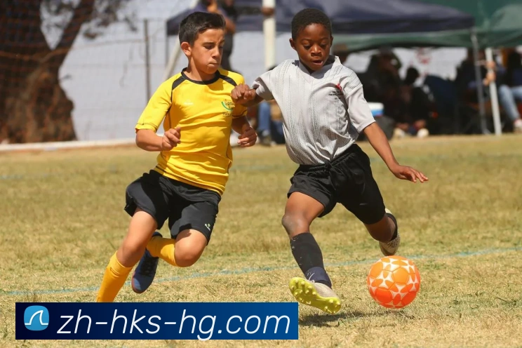 皇冠体育官网平台生态图